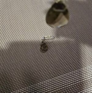 Elegant Smoky Quartz  Teardrop Earrings